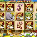 Wild-Gambler-slot