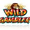 Wild Gambler